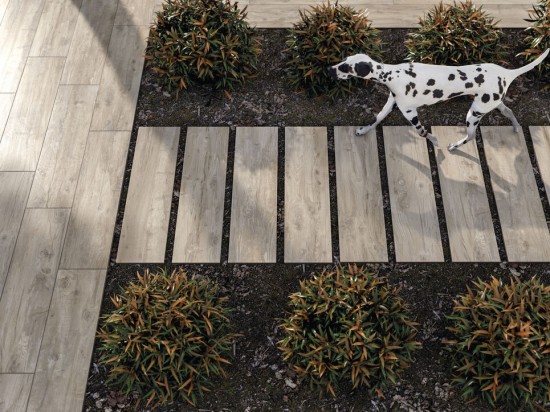 NEBRASKA MAPLE x20mm 30x120