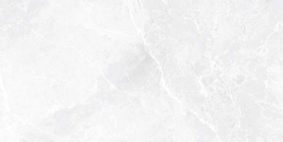 EARTHSTONE WHITE PUL 60x120